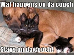 CouchSurfing: what happens on the couch...